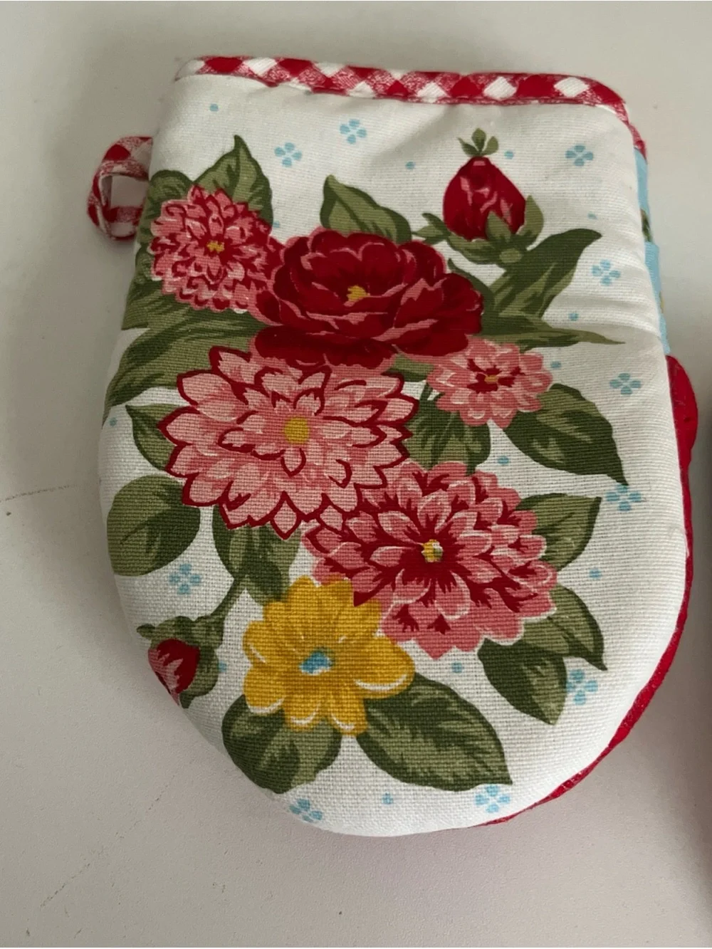 Pioneer Woman Sweet Rose Mini Oven Mitt Set Floral Gingham Pattern 2 Piece New